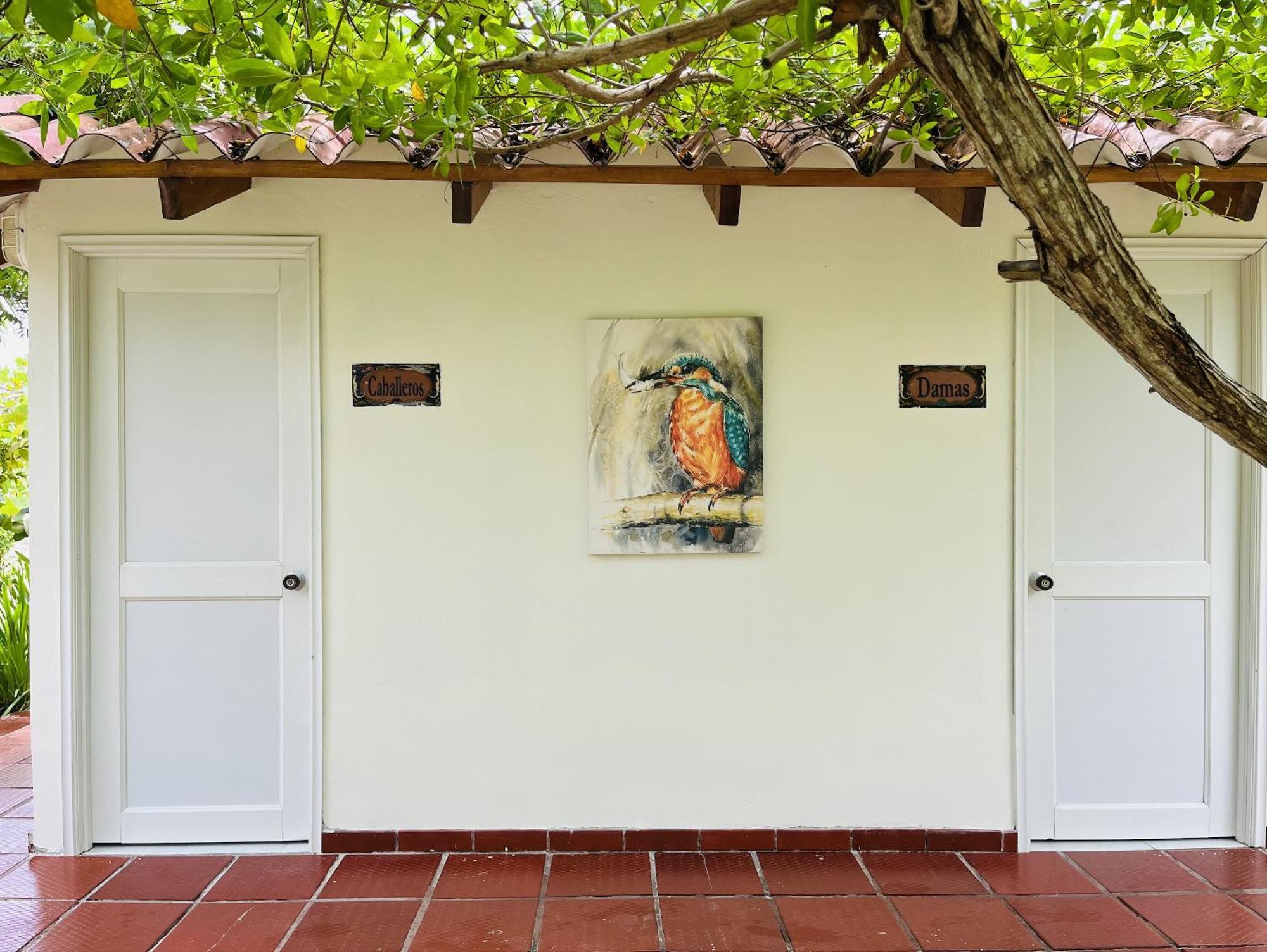 Hotel Carey Beach Isla Barú Extérieur photo