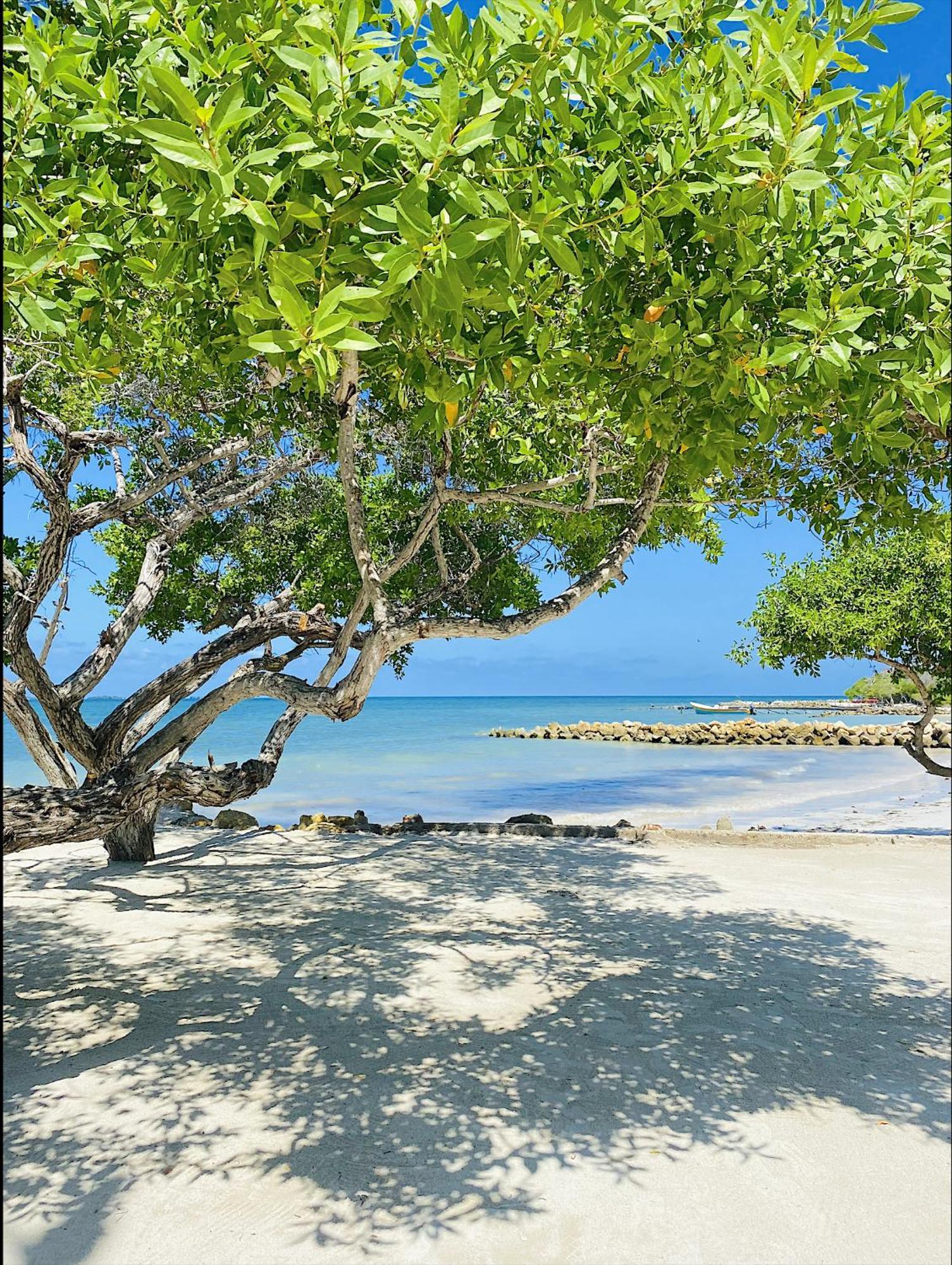 Hotel Carey Beach Isla Barú Extérieur photo