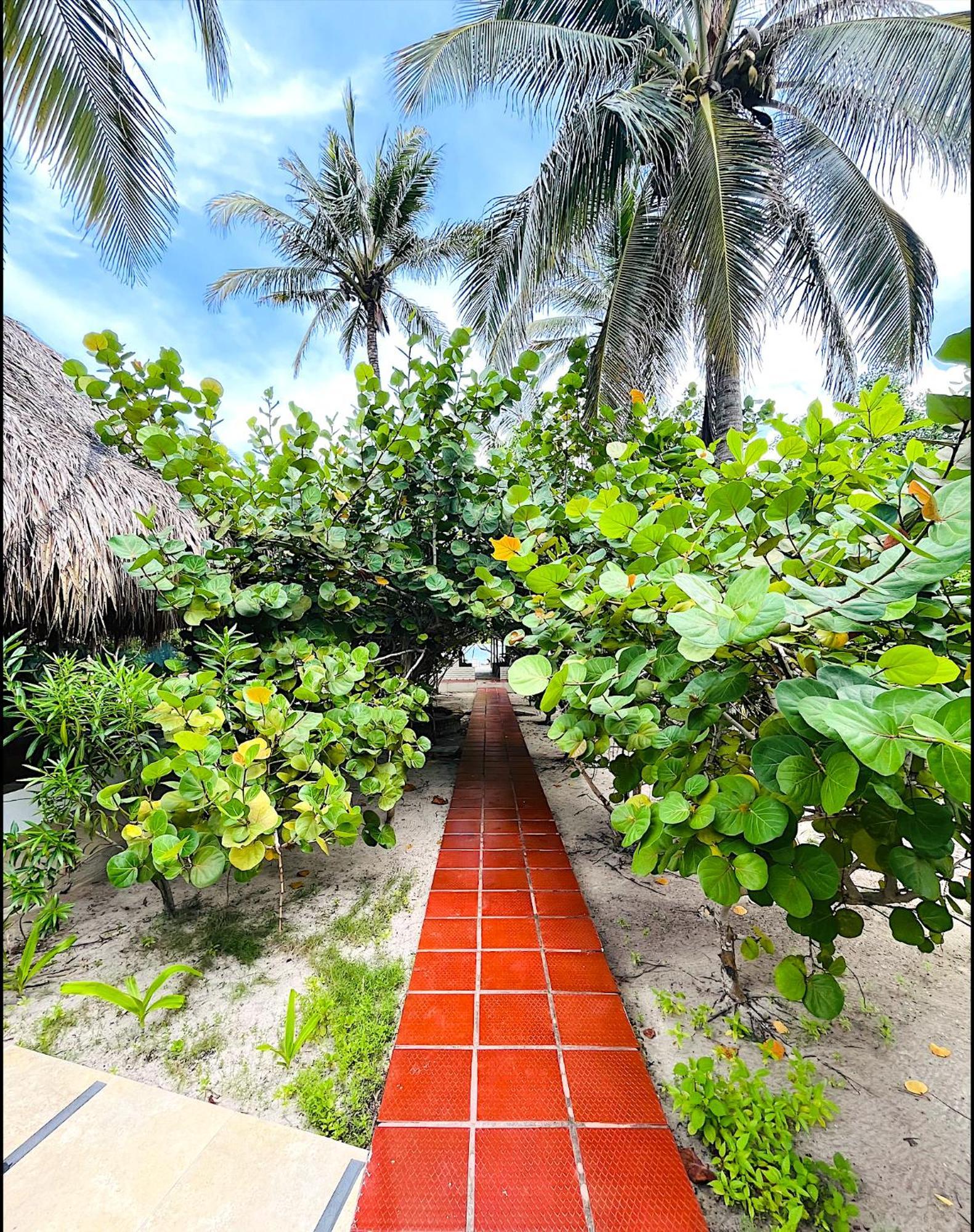 Hotel Carey Beach Isla Barú Extérieur photo